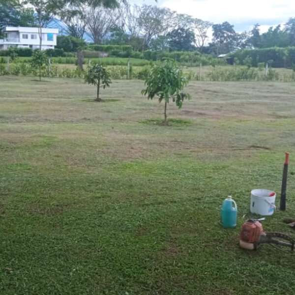 Lote Campestre Vereda Sardinata